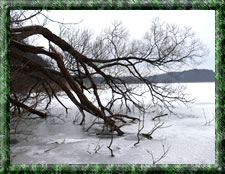 Winter in Himmelpfort